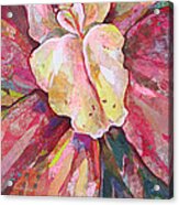 The Orchid Acrylic Print