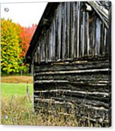The Old Back Shed Acrylic Print