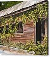 The Old General Store Acrylic Print