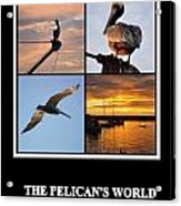 The Pelican's World Acrylic Print