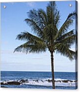 The Perfect Palm Tree - Sunset Beach Oahu Hawaii Acrylic Print