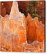 The Pope Sunrise Point Bryce Canyon National Park Acrylic Print