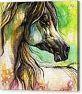 The Rainbow Colored Arabian Horse Acrylic Print