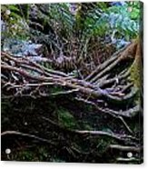 The Salamander Tree Acrylic Print