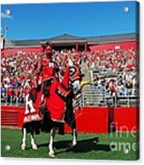 The Scarlet Knight And His Noble Steed Acrylic Print