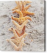 The Starfish Line Dance Acrylic Print