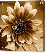 The Sunflower Acrylic Print