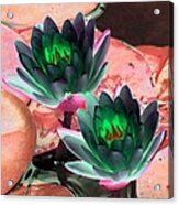 The Water Lilies Collection - Photopower 1120 Acrylic Print