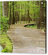 The Wooden Path Acrylic Print