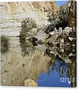 There Is Water In The Desert 03 Acrylic Print
