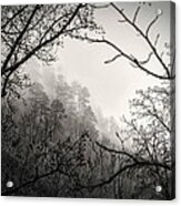 Through The Fog Acrylic Print