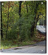 Through The Thicket Acrylic Print