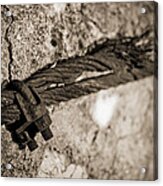 Ties That Bind Acrylic Print