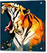 Tiger 002 Acrylic Print