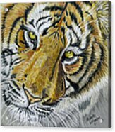 Tiger Painting Acrylic Print