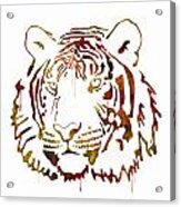Tiger Watercolor Acrylic Print