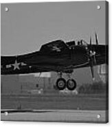 Tigercat Gaining Altitude Acrylic Print