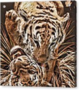 Tigers Acrylic Print