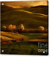 Golden Fields Of Val D'orcia Acrylic Print