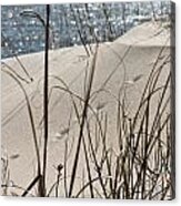 Tracks In The Sand Acrylic Print