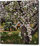Tractor In The Orchard Acrylic Print