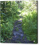 Trail To White Head Acrylic Print