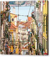 Tram, Barrio Alto, Lisbon, Portugal Acrylic Print