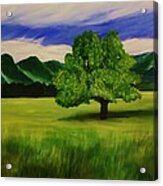 Tree In A Field Acrylic Print