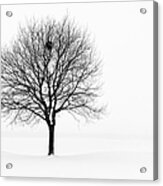 Tree In Winter Landscape, Black And Acrylic Print