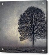 Tree Of Life Acrylic Print