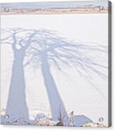 Tree Shadow Puppets Acrylic Print