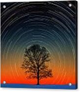 Tree Silhouette With Star Trails Acrylic Print