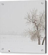 Tree Snow Fog And The Prairie Dog Acrylic Print