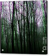 Forest For The Trees 2 Acrylic Print