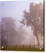 Trees In The Mist Acrylic Print