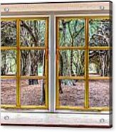 Trees Through A Window Acrylic Print