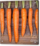 Trimmed Carrots In A Row Acrylic Print