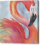 Tropical Flamingo Acrylic Print