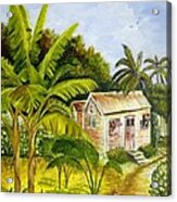 Tropical Haven Acrylic Print