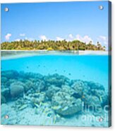 Tropical Island And Underwater Coral Reef - Maldives Acrylic Print