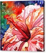 Tropical Pink Hibiscus Acrylic Print