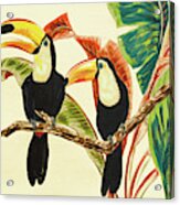 Tropical Toucans I Acrylic Print