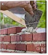https://render.fineartamerica.com/images/rendered/small/acrylic-print/metalposts/break/images-square-real-5/trowel-spreading-cement-on-bricks-patricia-hofmeester.jpg
