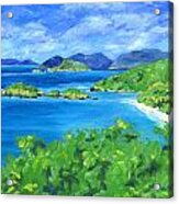 Trunk Bay Acrylic Print