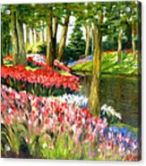 Tulip Gardens Acrylic Print