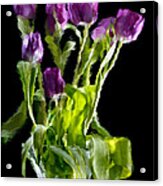 Tulip Impressions Vi Acrylic Print