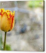 Tulip Letter Acrylic Print