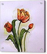 Tulips Acrylic Print