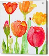 Tulips With Lady Bug Acrylic Print
