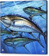 Tuna In Advanced Acrylic Print